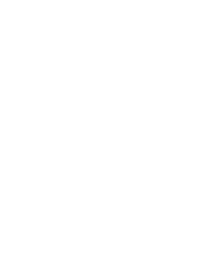Lami the Migrant CEO